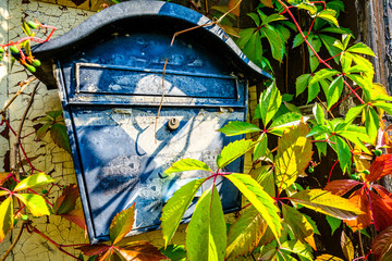 Wall Mural - old letterbox