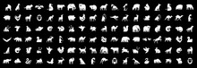 Animals Logos Collection. Animal Logo Set. Isolated On Black Background