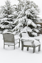Snow-covered  Fir-tree In The Garden And Stacked Chairs Of Garden Furniture.