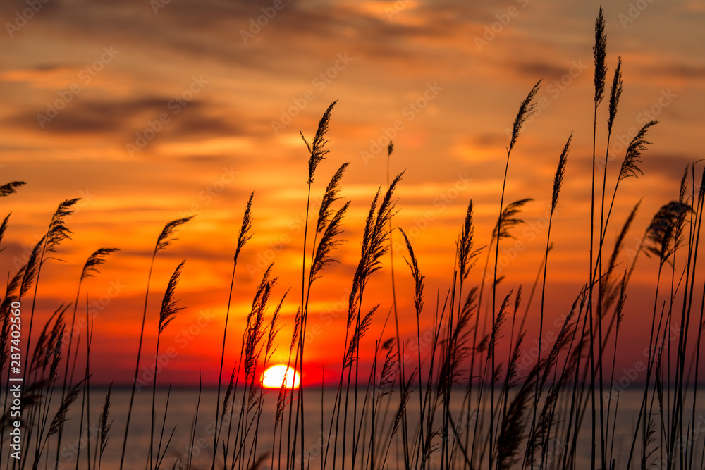 beautiful chesapeake bay colorful sunrise landscape in southern maryland calvert county usa - obrazy, fototapety, plakaty 
