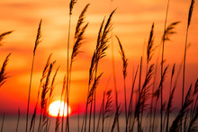 Beautiful Chesapeake Bay Colorful Sunrise Landscape In Southern Maryland Calvert County Usa