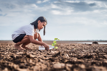 asian girl watering green plant in dry land,crack dried soil in drought and ,climate change from glo