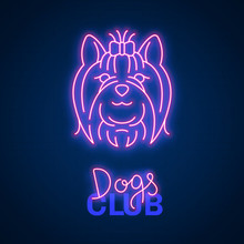 Glowing Neon Effect Dogs Club Yorkshire Terrier Sign