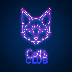 Glowing neon effect Cats club Maine coon sign