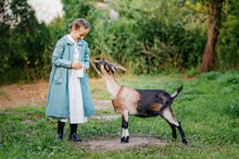 Child, Little Girl Feeds Goat And Little Goats In The Garden