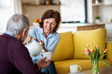 Wall Mural - Affectionate senior couple in love sitting on sofa indoors at home, talking.