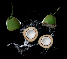 Wall Mural - cracked coconut with water splash or explosion flying in the air isolated on black background