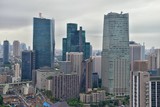 Fototapeta Nowy Jork - Tokyo Japan skylines and skyscrapers buildings, aerial view, around Shinjuku ward. Asia.