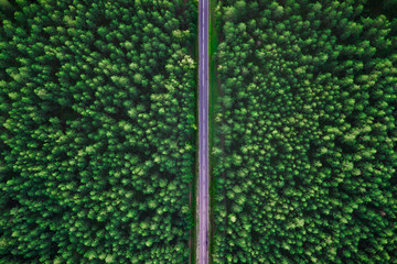 Wall Mural - Highway from above