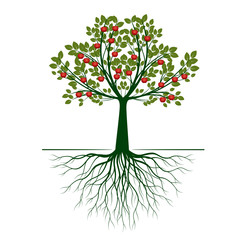 Wall Mural - Beautiful Vector Apple Tree on white background with Roots. Vector Illustration and concept pictogram.