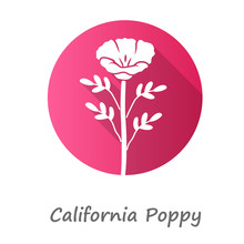 California Poppy Pink Flat Design Long Shadow Glyph Icon. Papaver Rhoeas With Name Inscription. Corn Rose Blooming Wildflower. Herbaceous Plants. Field Common Poppy. Vector Silhouette Illustration