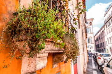 Cityscape and generic architecture from Rome, the Italian capital