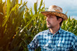 © Bits and Splits - Serious corn farmer portrait in cultivated field