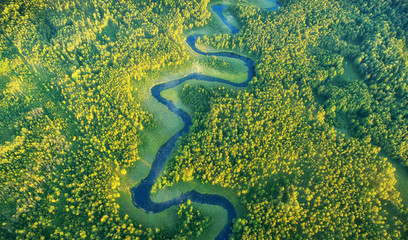 Sticker - Wild river landscape from the drone