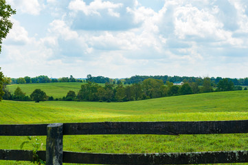 Wall Mural - Landscape