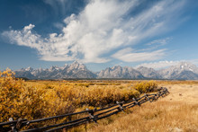 Old Fence Line In Front Of The Grand Teton Mountain Range, Grand Teton National Park, Wyoming 