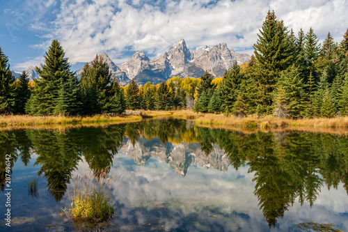 Fotomural Landscape of mountains and trees of the Grand Teton range reflected in the ponds