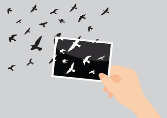 Wall Mural - pigeons fly out in the photo