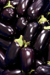 Wall Mural - Group of italian eggplant in a market