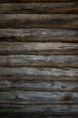 Wall Mural - Texture of old log house wall