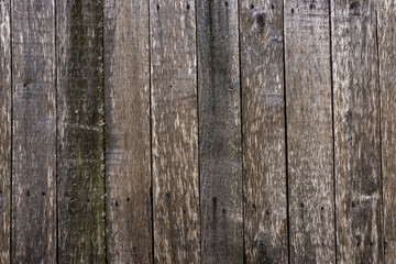 Wall Mural - The texture of an old unpainted wall of wooden boards . Lots of knots in the boards