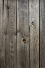 Wall Mural - The texture of an old unpainted wall of wooden boards . Lots of knots in the boards