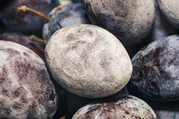 Poster - Close up fresh frozen blue plums background. Macro view.
