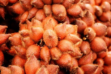 Wall Mural - Salacca zalacca, Snake fruit background