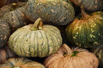 Canvas Print - Green Pumpkins background