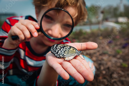 Fotografía boy looking at butterfy, kids learning nature