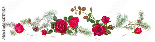 Panoramic view with red roses, pine branches, cones. Horizontal border with C...