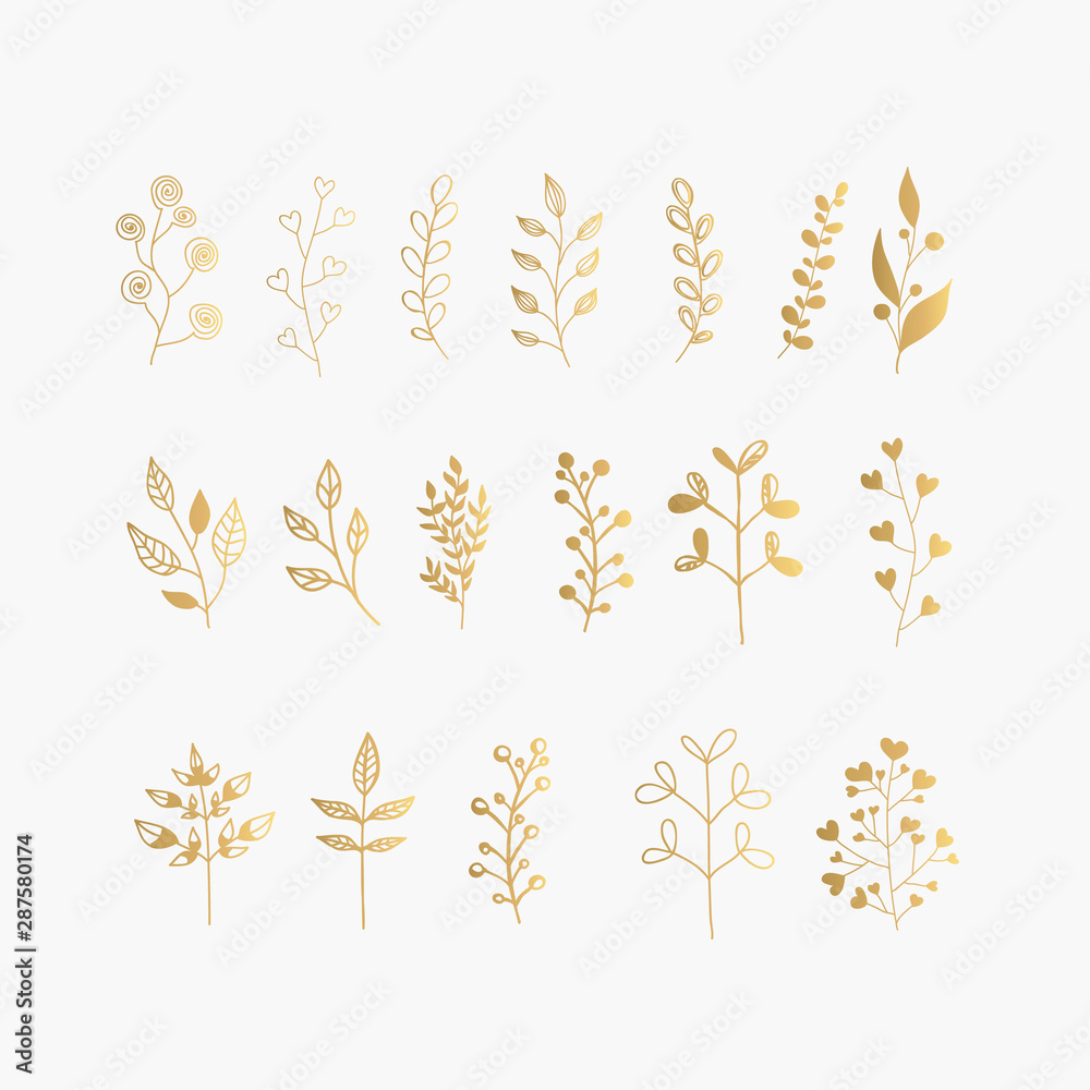Collection of Gold Hand Drawn Floral Elements. Vector Frames and Leaves ...