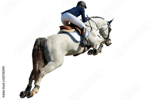 Horse Jumping, Equestrian Sports, Isolated on White Background Canvas Print