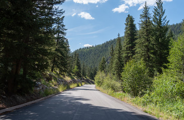 Landscape of road leading through trees to mountains in Colorado