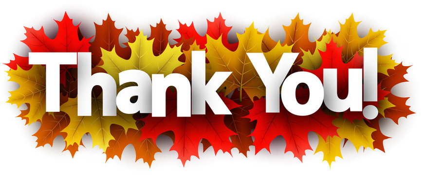 Autumn thank you sign with color maple leaves.