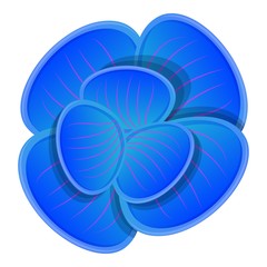 Poster - Blue orchid icon. Cartoon of blue orchid vector icon for web design isolated on white background