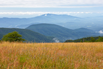 Wall Mural - View of the Blue Ridge mountains from the Appalachian Trail near the summit of Cole Mountain in Amherst County, Virginia