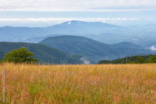 Fotomural View of the Blue Ridge mountains from the Appalachian Trail near the summit of C