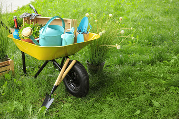 Wall Mural - Composition with gardening tools on green grass