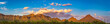 Tucson Mountain Park with Saguaro Cactus Panorama