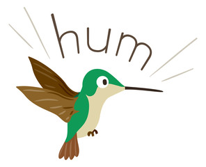 Poster - Hummingbird Sound Hum Illustration