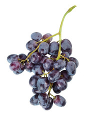 Wall Mural - Fresh grapes isolated on white background. Bunch of grapes.