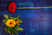 Nice Red And Yellow Gerbera Daisy Flower With Green Leaves On Blue Background