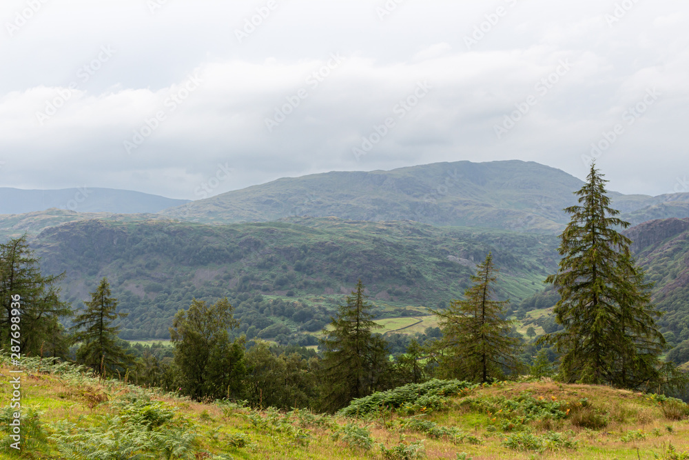 Lake District mountain scenery - obrazy, fototapety, plakaty 