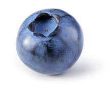 Blueberry Isolated. Blueberry On White Background. Bilberry. Clipping Path.