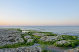 Fototapeta Desenie - Caspian Sea coast in summer