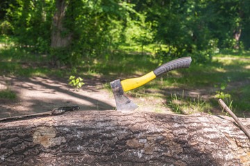 axe in tree stump