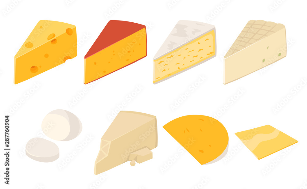 Cheese Types Vector Cheese types. Modern flat style realistic vector illustration icons ...