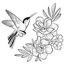 Vector Illustration Of A Hummingbird. Stylized Flying Bird. Drawing With Ornaments. Linear Art. Black And White Drawing By Hand. Tattoo.