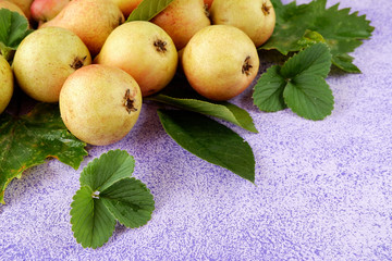 Wall Mural - Harvest pears, top view